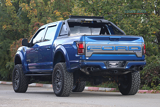 FORD F-150 RAPTOR, 2016